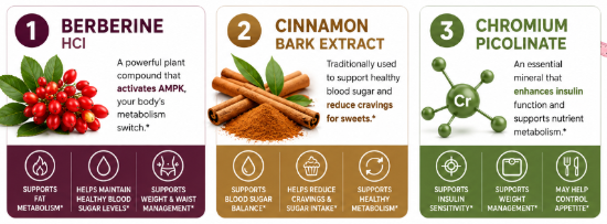LipoMeltX Ingredients