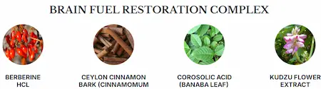 Brain Fuel Restoration Complex