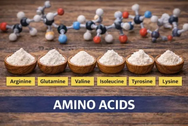 BreathEaseX Ingredients 2