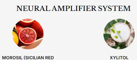 Neural Amplifier System
