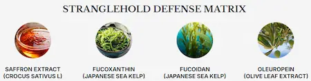 Stranglehold Defense Matrix